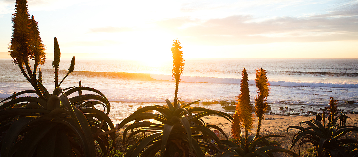 387426 ondas de Frederico Morais em Jeffreys Bay || 1:46