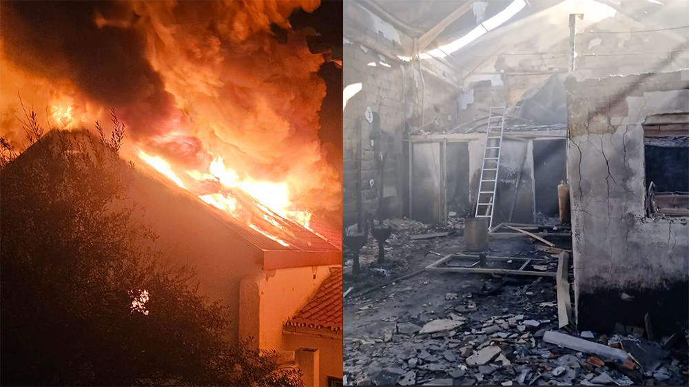 75787Uma das principais marcas de pranchas de surf de Portugal precisa da tua ajuda…